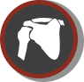 shoulder and elbow icon